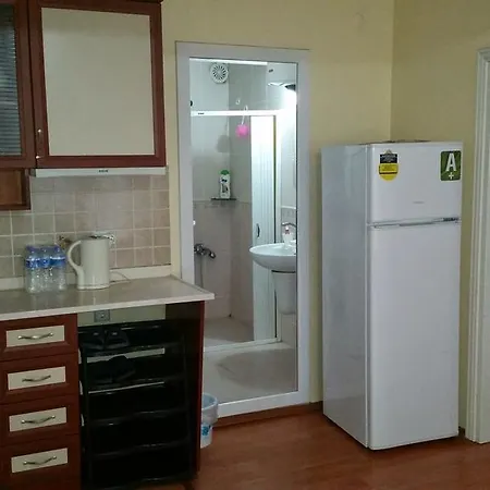 公寓式酒店 Basak Apart Bursa *