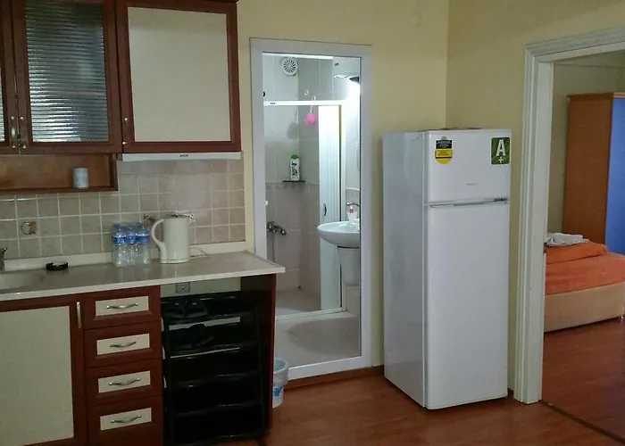 شقة فندقية Basak Apart Bursa *